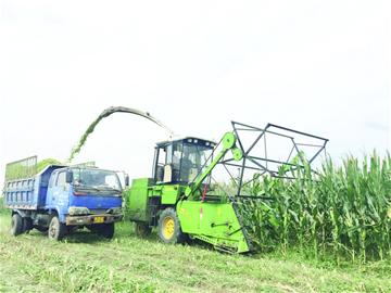 青島加速建設(shè)全國(guó)主要農(nóng)作物生產(chǎn)全程機(jī)械化示范市 農(nóng)業(yè)機(jī)械制造迎來(lái)新機(jī)遇